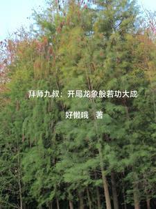 拜师九叔开局龙象般若功大成好懒哦