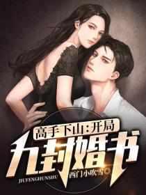 韩风九个未婚妻是什么