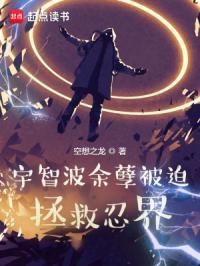 宇智波余孽被迫拯救忍界全集txt