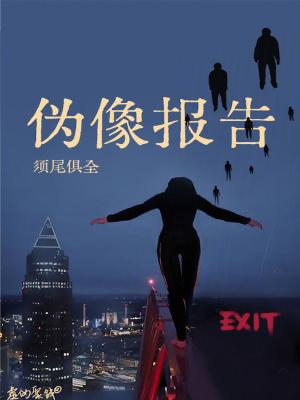 伪像报告手打版