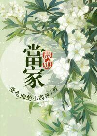农媳当家将军宠妻无度