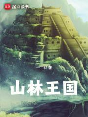 山林王国主角有多少老婆