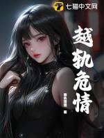 电视剧越轨