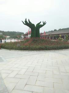 中年 知乎