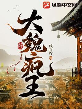 大魏疯王TXT全文