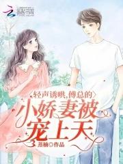 傅少 轻点宠