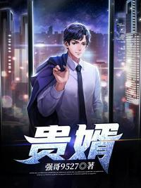大唐贵婿