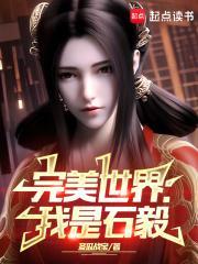 完美世界我是石毅TXT全本