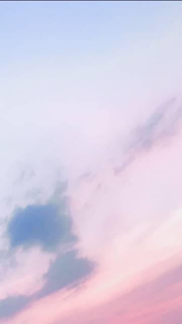 玫瑰雾来免费阅读