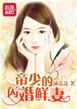 帝少的闪婚娇妻