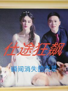 仕途狂飙周墨沈清