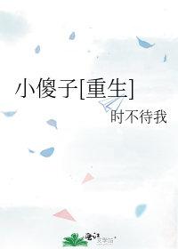小傻子重生记全集免费阅读