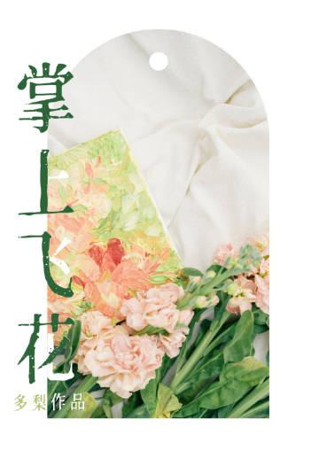 掌上飞花类似