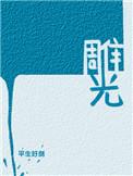 雕光时刻电影在线观看