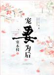 宠妻为后男主角是谁