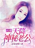 闪婚天降神秘老公txt