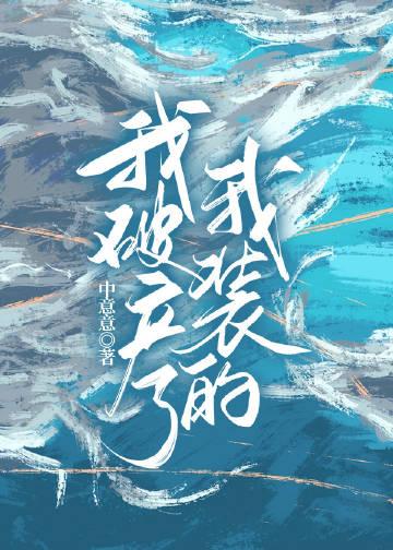 我装的he吗