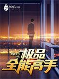 极品全能高手夏天免费阅读全文