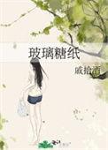 玻璃糖纸洛行霍行舟