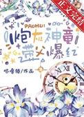 带父爆红