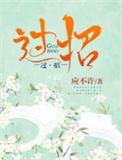 陈真和少帅过招