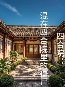 四合院真实视频