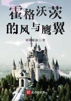 霍格沃茨的风与鹰翼破碎泰迪