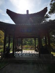 黄山仙人石图片
