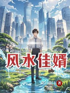女婿要进门