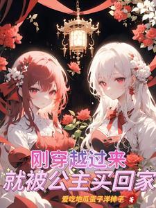 刚穿越就被抢了的