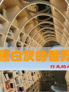 黑白的世界图片