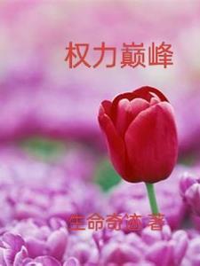 权力巅峰百度百科