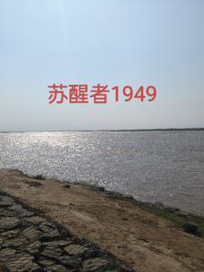 苏醒者通缉令在线观看