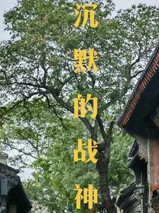 沉默的月
