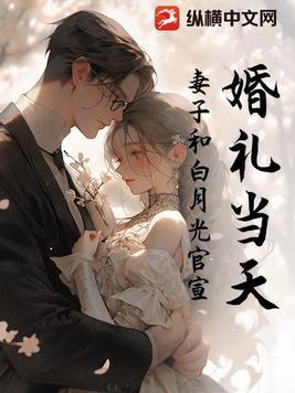 婚礼当天妻子逃婚陪白月光大结局