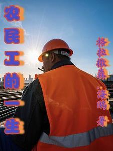 农民工的一生视频