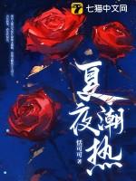 潮热夏夜免费阅读宋洵