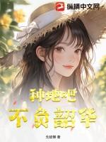 不负韶华的意思