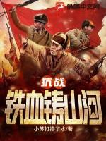 抗战辶铁血山河全文免费阅读