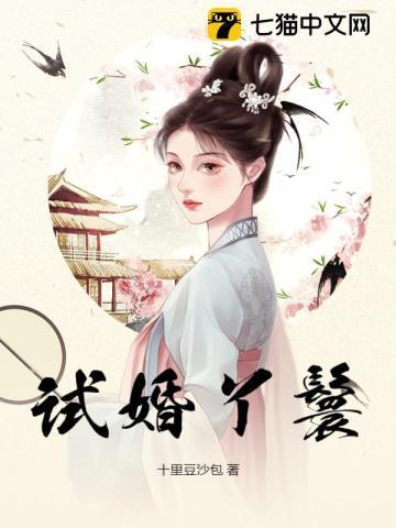 试婚丫鬟酒颜沈危十三两