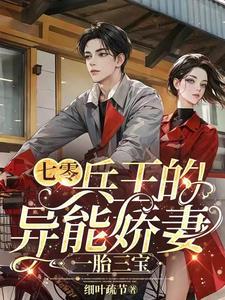 七零兵王的异能娇妻一胎三宝作者细节疏叶免费阅读