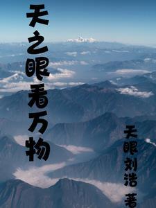 天之眼t7
