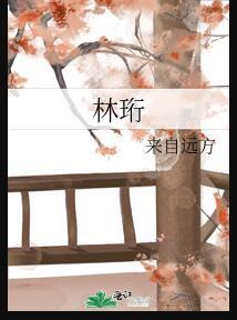 林珩林聿洲苏沁
