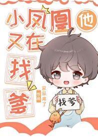 小凤凰他又在找爹txt百度