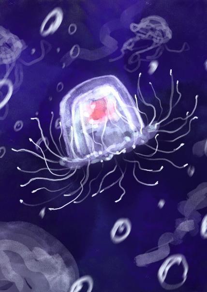水母历险记作文