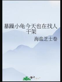暴躁小龟今天也在找人干架在线阅读