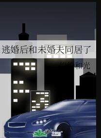 逃婚之后邂逅