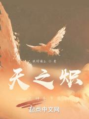 天之炽出了几本