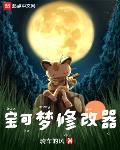 宝可梦修改器怎么改出合法神兽