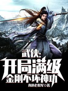 武侠开局满级金刚不坏神功笔趣阁